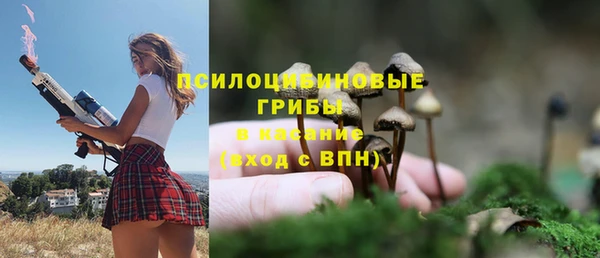 мескалин Бронницы