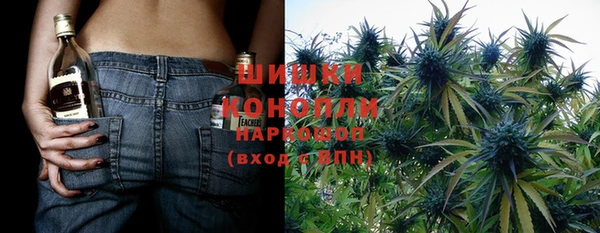 марки lsd Бородино