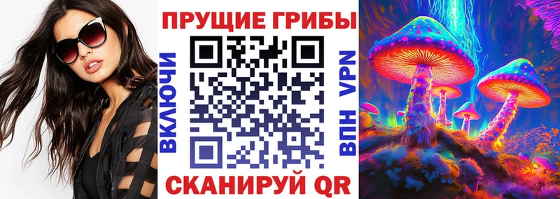 Псилоцибиновые грибы Psilocybine cubensis  omg как зайти  нарко площадка телеграм  Козельск 